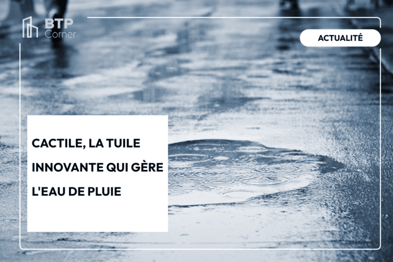 Cactile, la tuile innovante qui gère l'eau de pluiev_visuel