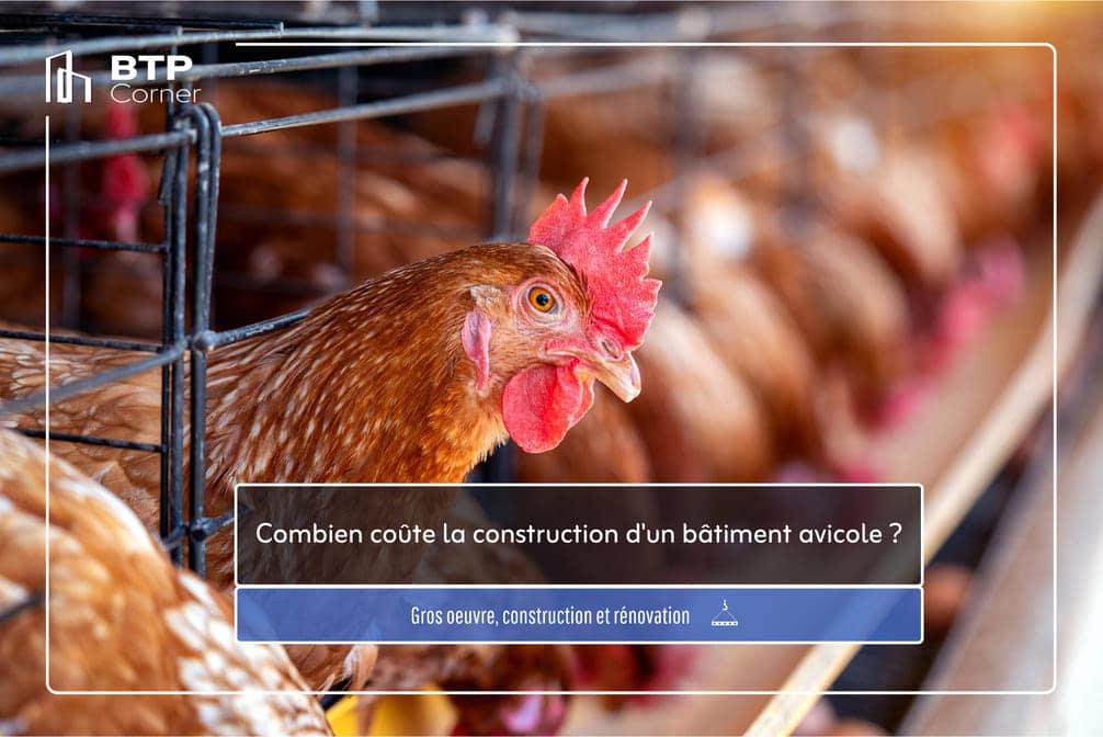 Combien coûte la construction d’un bâtiment avicole ?